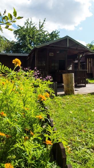 kleingarten-haus-mit-blumen